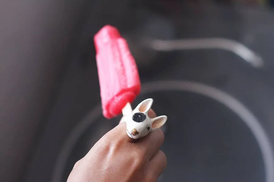 Bob Bullterrier Ring