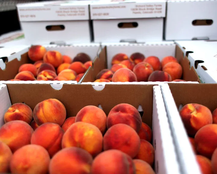 Colorado Whiskey Peach Deliciousness : Cheeseboard Size