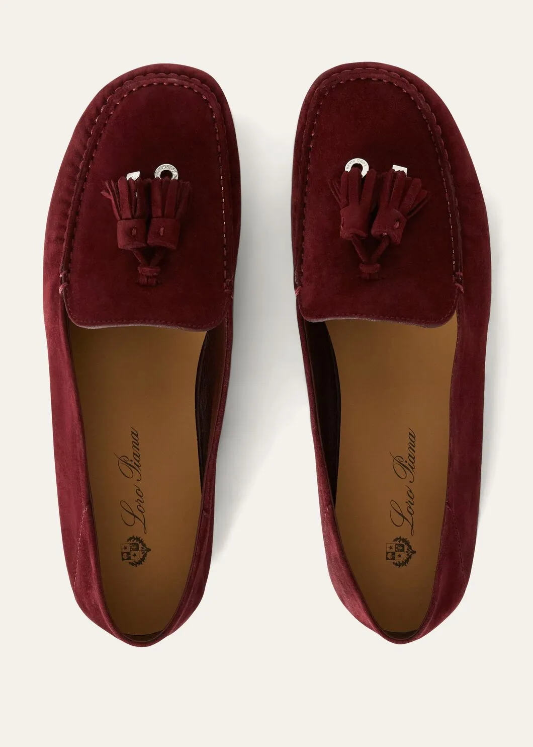 Dot Sole Walk in Bordeaux Suede for Women