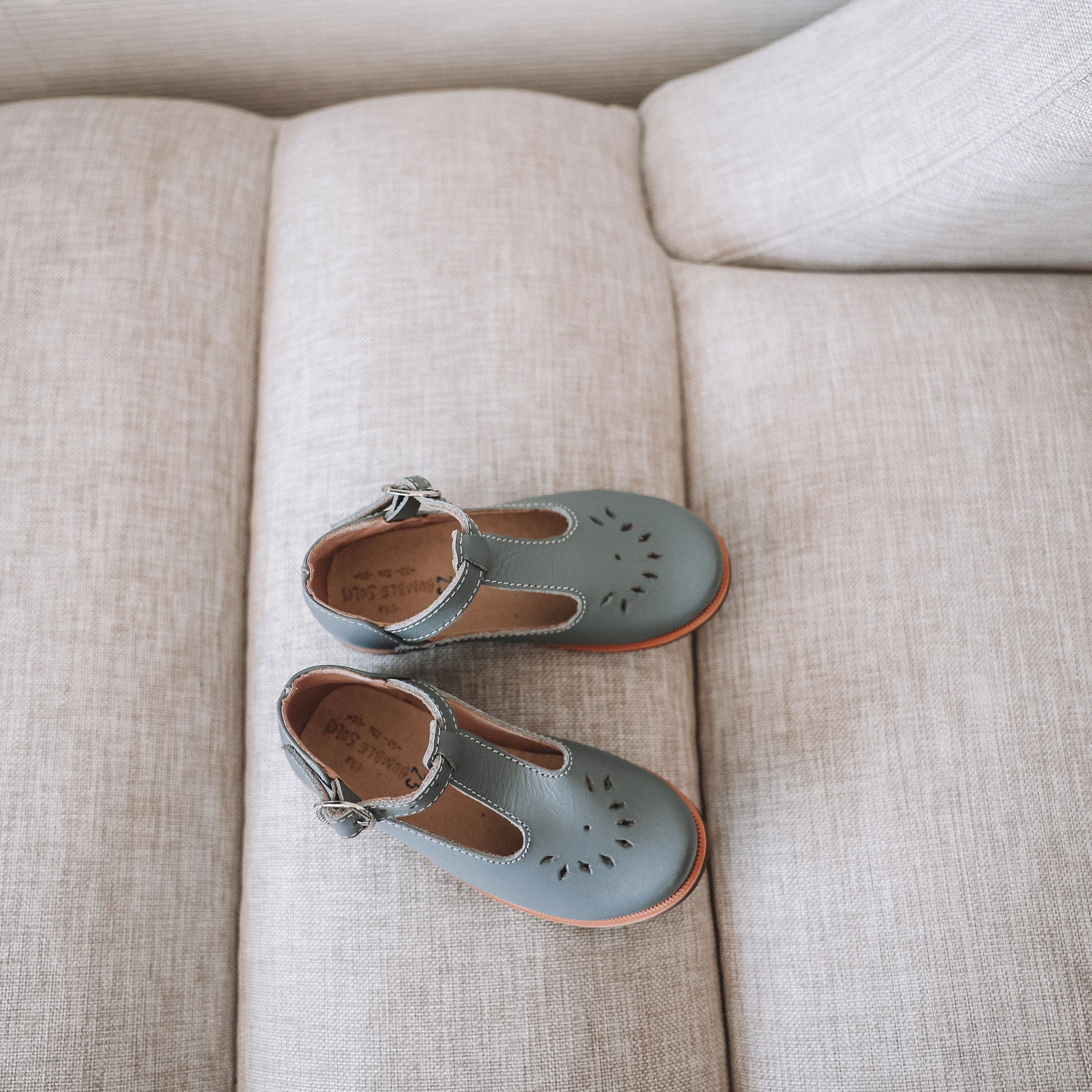 Evie Shoes - Vintage Blue