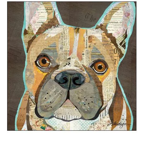French Bulldog
