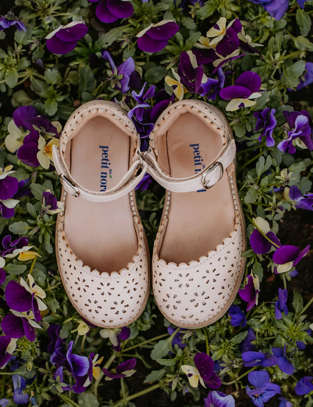 Ladida Flower - Cream