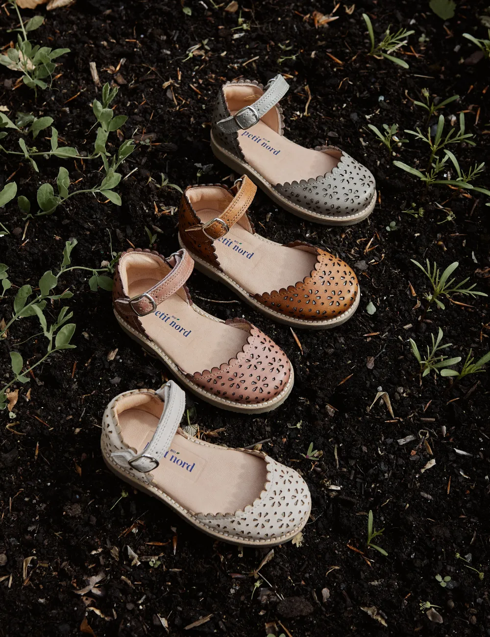 Ladida Flower - Cream
