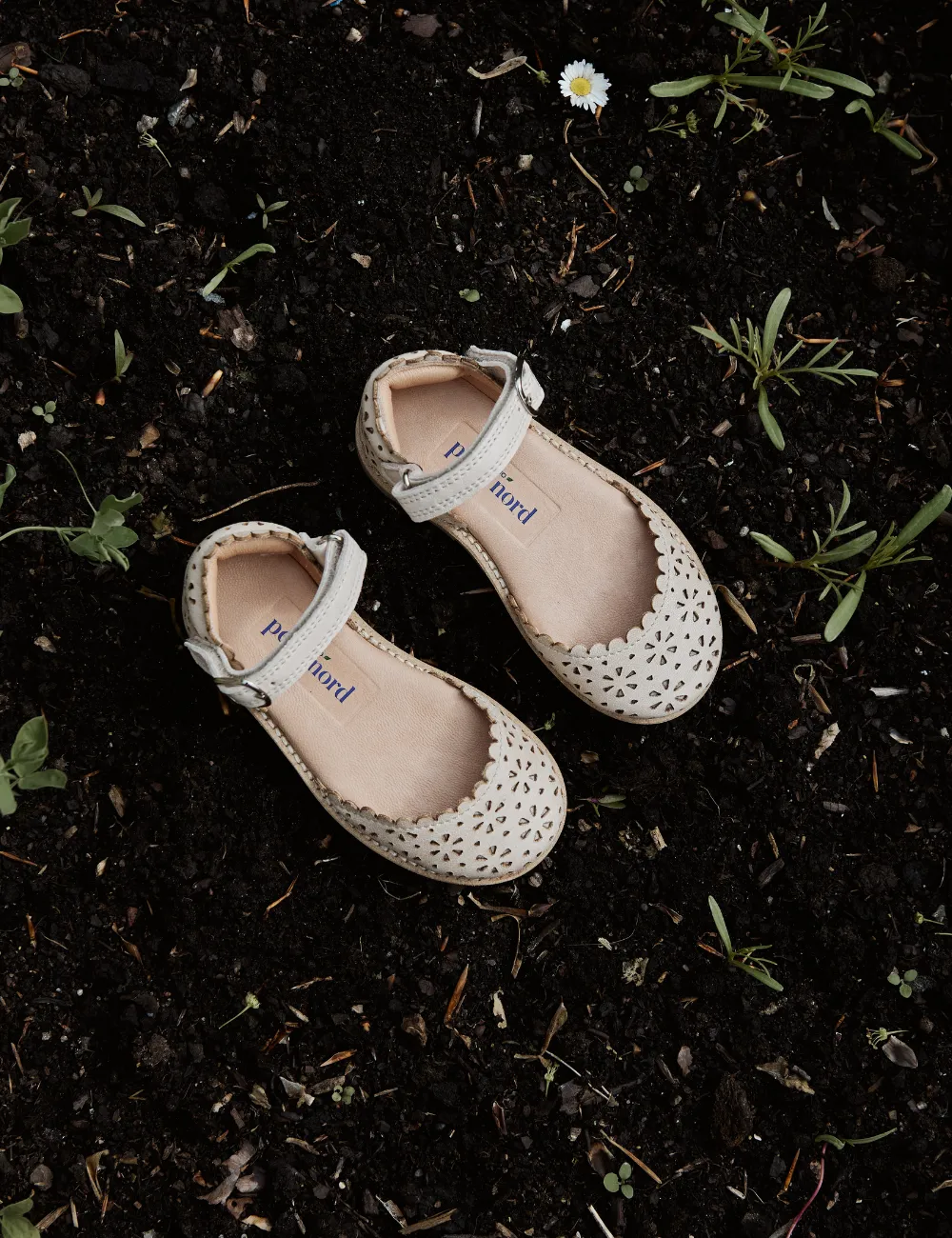 Ladida Flower - Cream