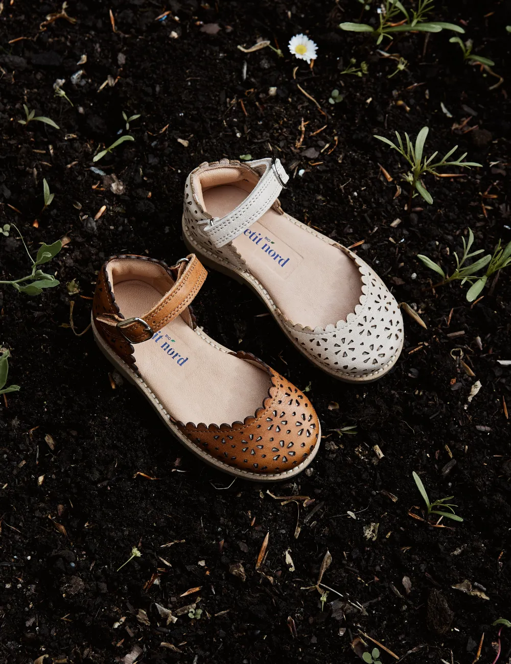 Ladida Flower - Cream