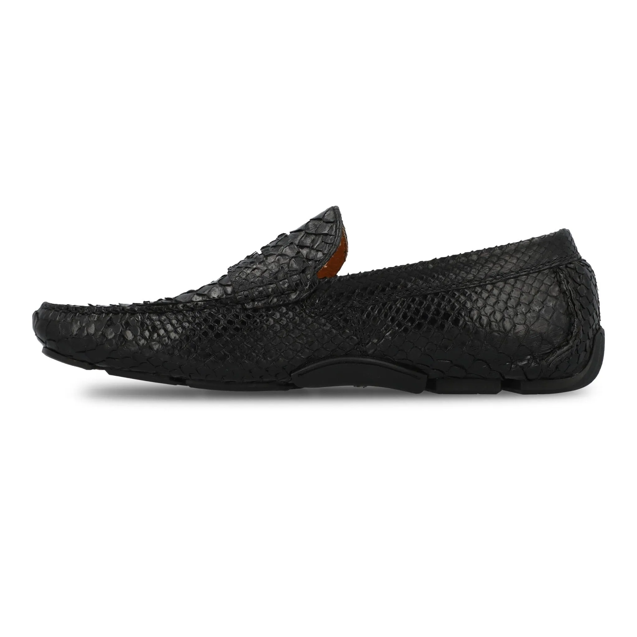 The Sprinter in Python - FINAL SALE