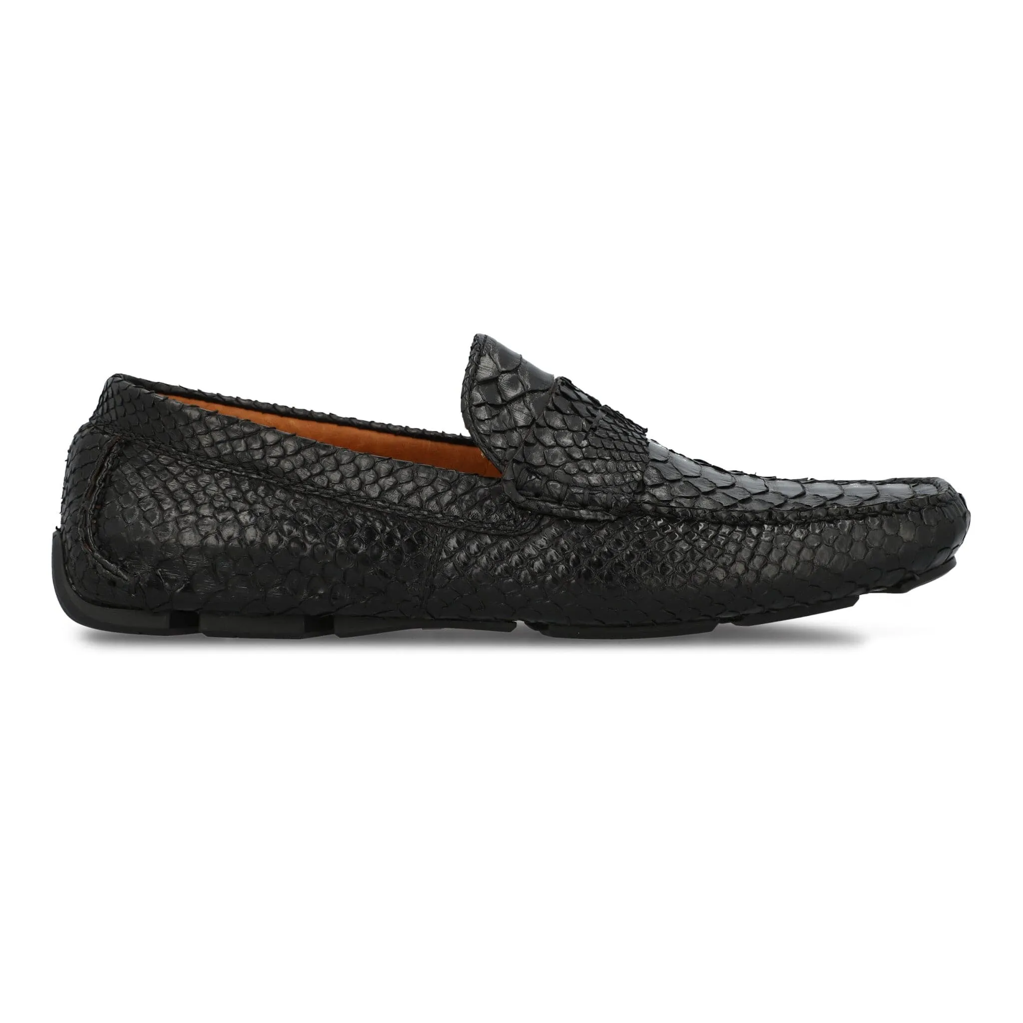 The Sprinter in Python - FINAL SALE