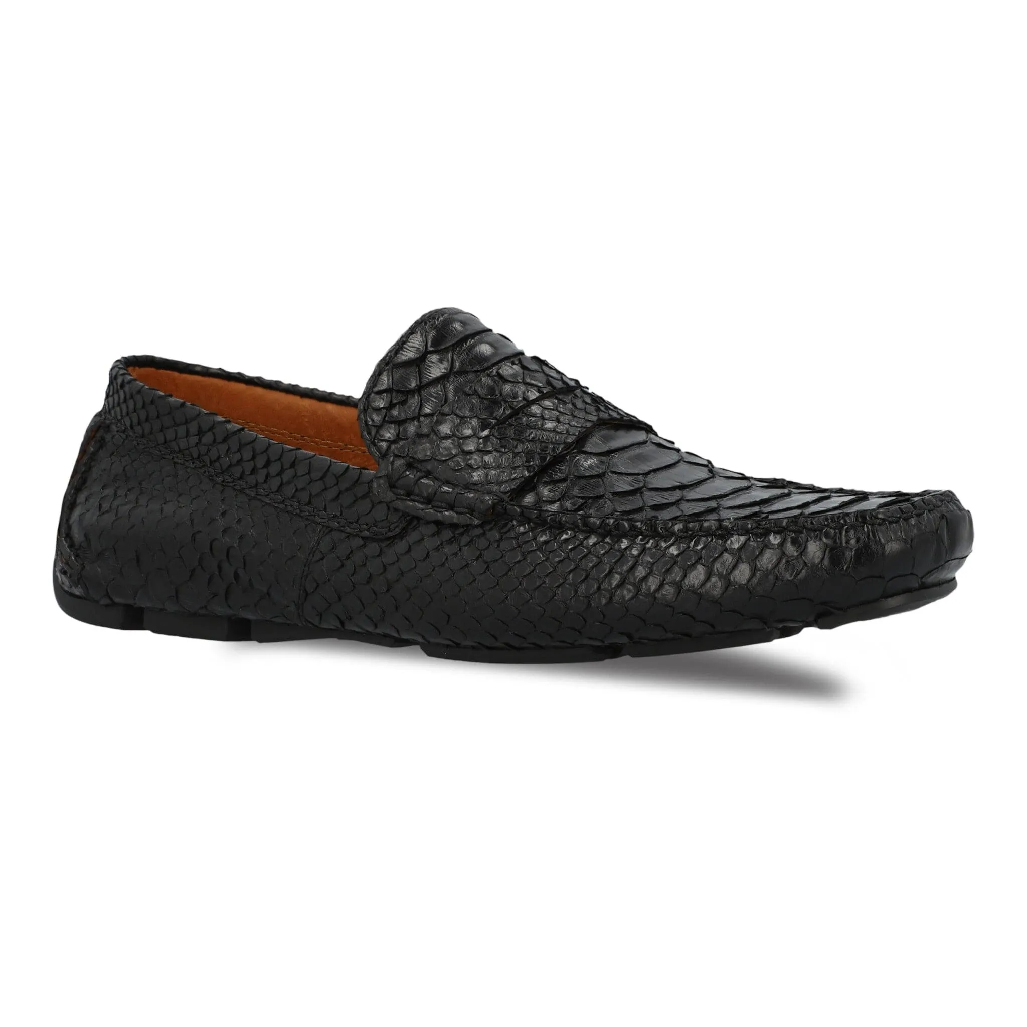 The Sprinter in Python - FINAL SALE