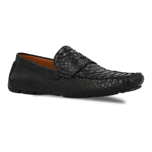 The Sprinter in Python - FINAL SALE